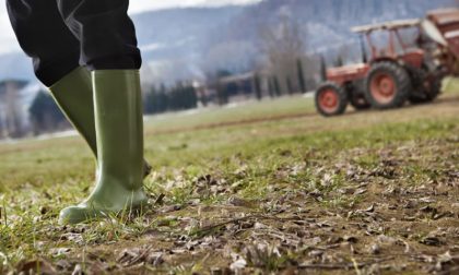 Il consumo di suolo agricolo nella Bergamasca