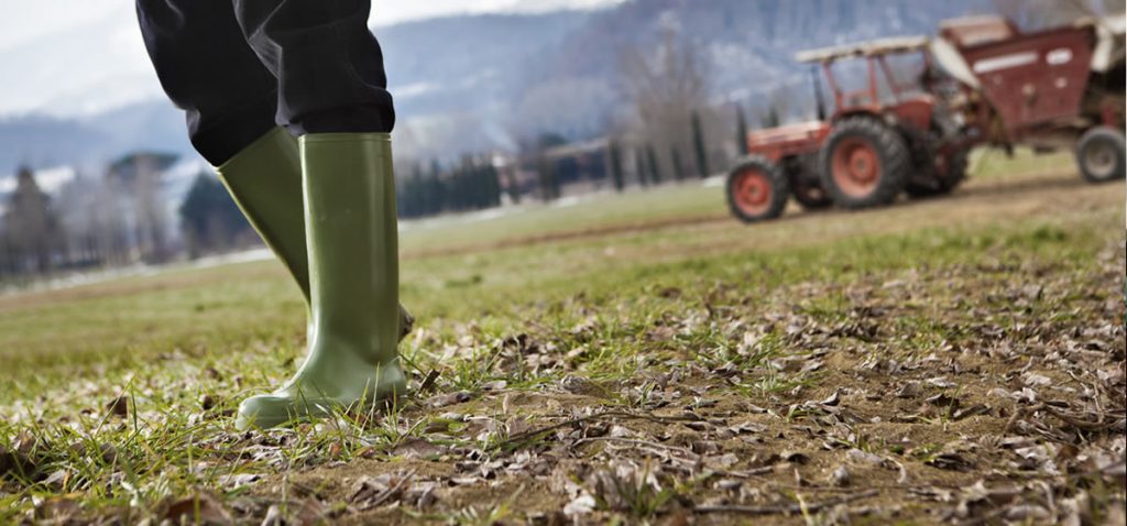 Il consumo di suolo agricolo nella Bergamasca