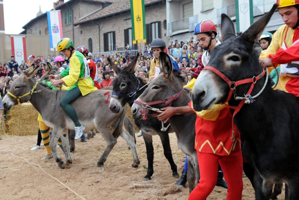 Che cosa fare stasera sabato 9 agosto 2014