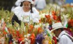 Medellin fiorisce d'agosto