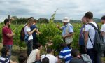 Università, la rivincita di Agrariai giovani scelgono i campi