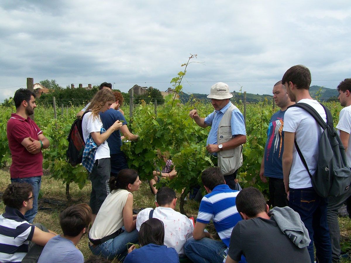 Università, la rivincita di Agrariai giovani scelgono i campi