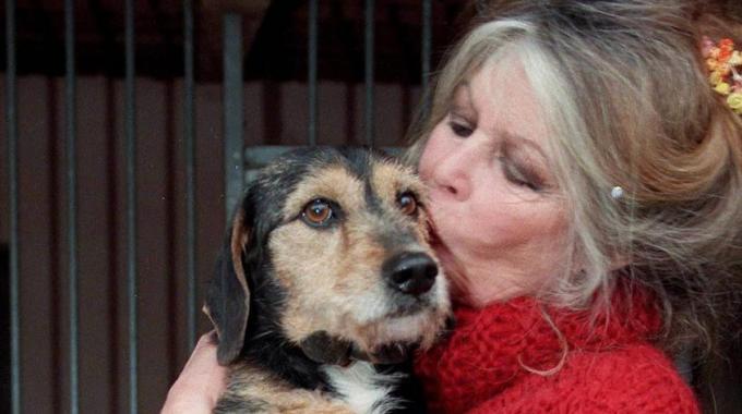 Perché non si riesce a smettere di guardare Brigitte Bardot