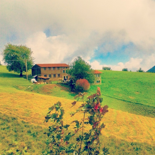 Colli San Fermo – Ross