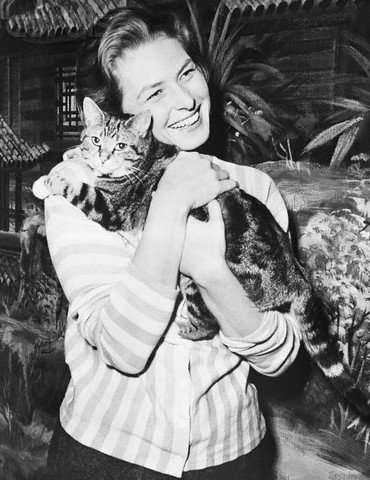 Ingrid Bergman Hugging Cat While on Filming Set