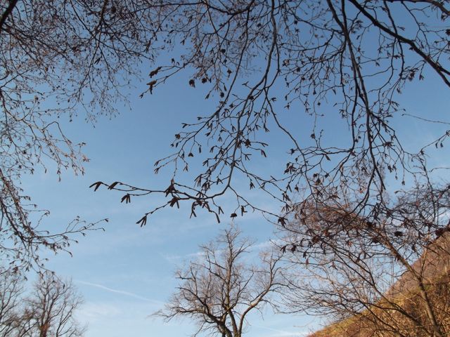 (T)rame – Aurora