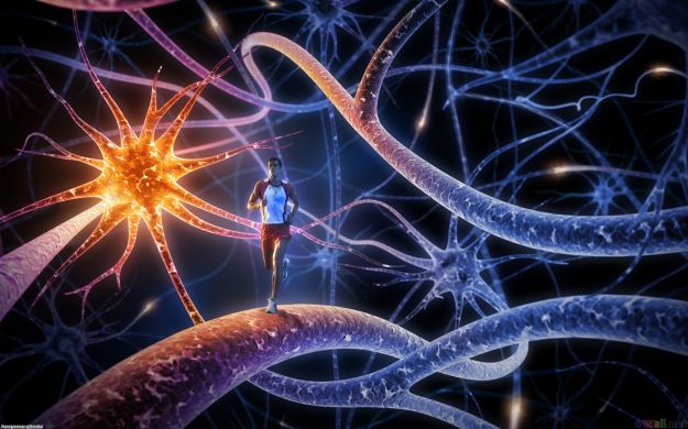 Dedicato a chi lavora in ufficio Stare seduti fa male al cervello