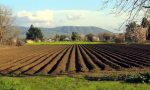 I passi per diventare agricoltore Ci vuole chiarezza e pazienza