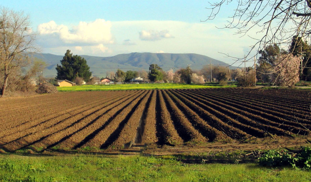 I passi per diventare agricoltore Ci vuole chiarezza e pazienza