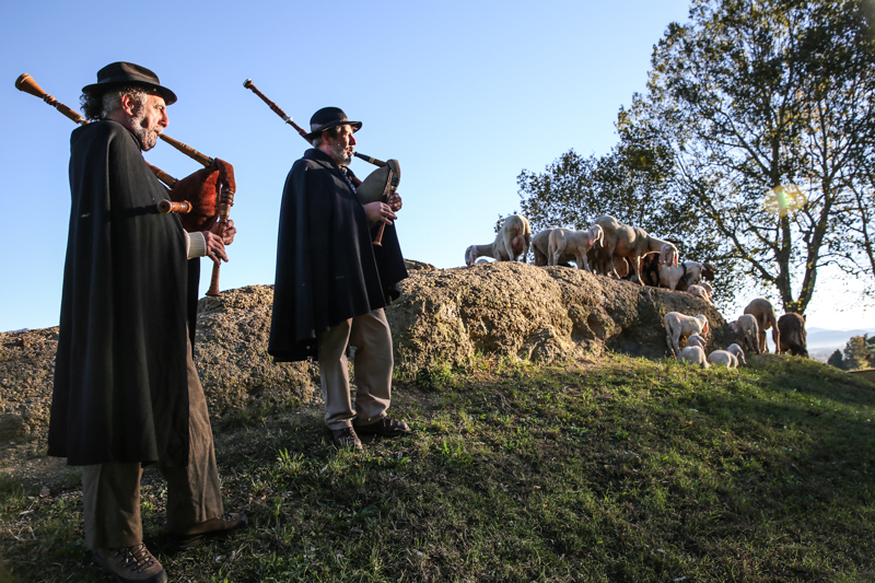 La transumanza in Città Alta Una poesia d’altri tempi