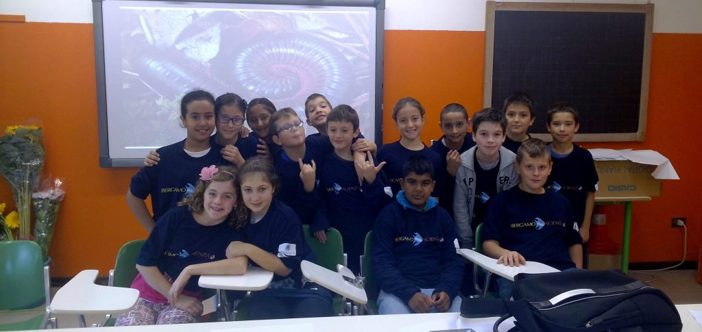 La Scuola Primaria di Telgate e la sua matematica nei girasoli