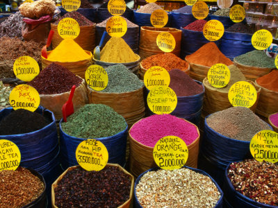 elms-greg-teas-and-spices-at-spice-bazaar-istanbul-turkey