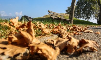Foglie d'autunno a Bergamo Poesia per immagini