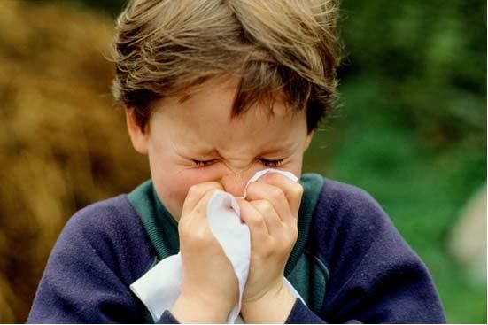 Allergia-agli-acari-nei-bambini-sintomi-e-rimedi