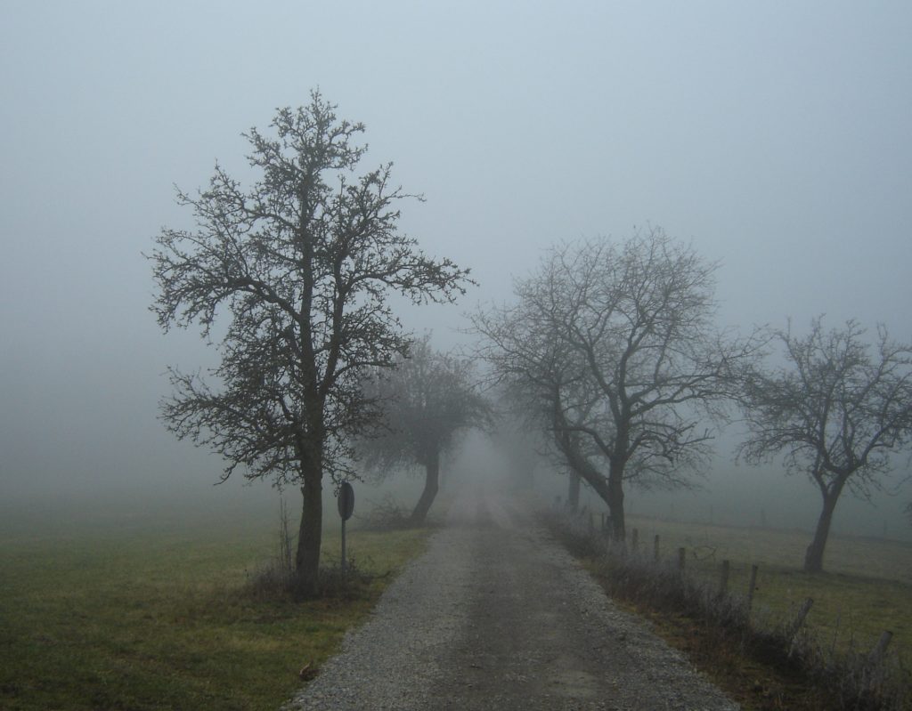 Nebel_in_der_Region_Rhön_01386