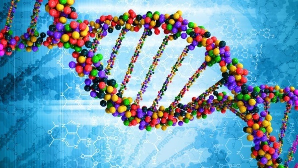 Il Dna Frankenstein del tumore Ovvero, come si sviluppa la malattia