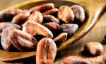 Ecco perché il cacao è in pericolo