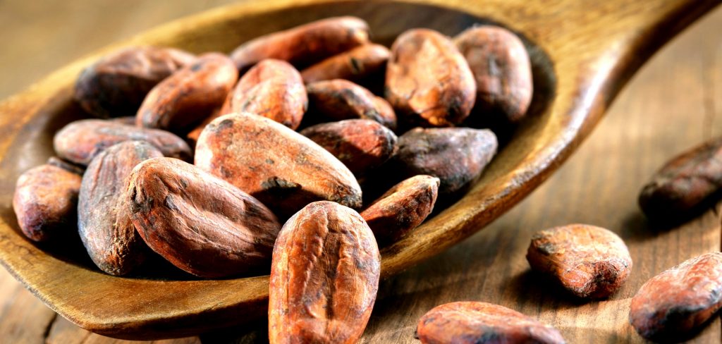 Ecco perché il cacao è in pericolo