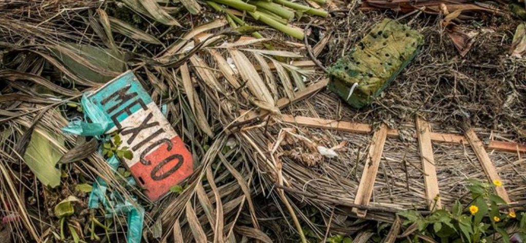 Che cosa fare stasera a Bergamo martedì 11 novembre 2014