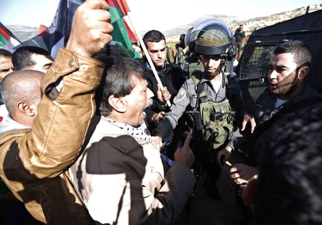 Gli ulivi di Ziad Abu Ein