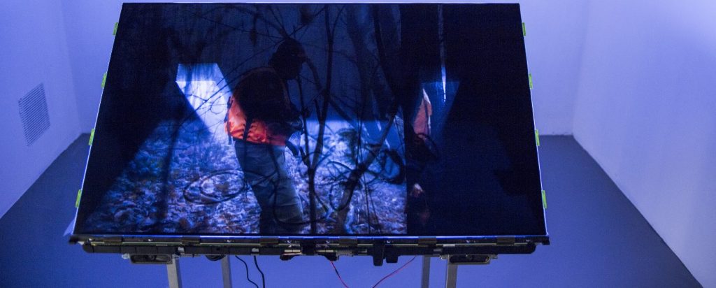 Il Fiume Mississippi alla GAMeC (è una cosa d’arte contemporanea)
