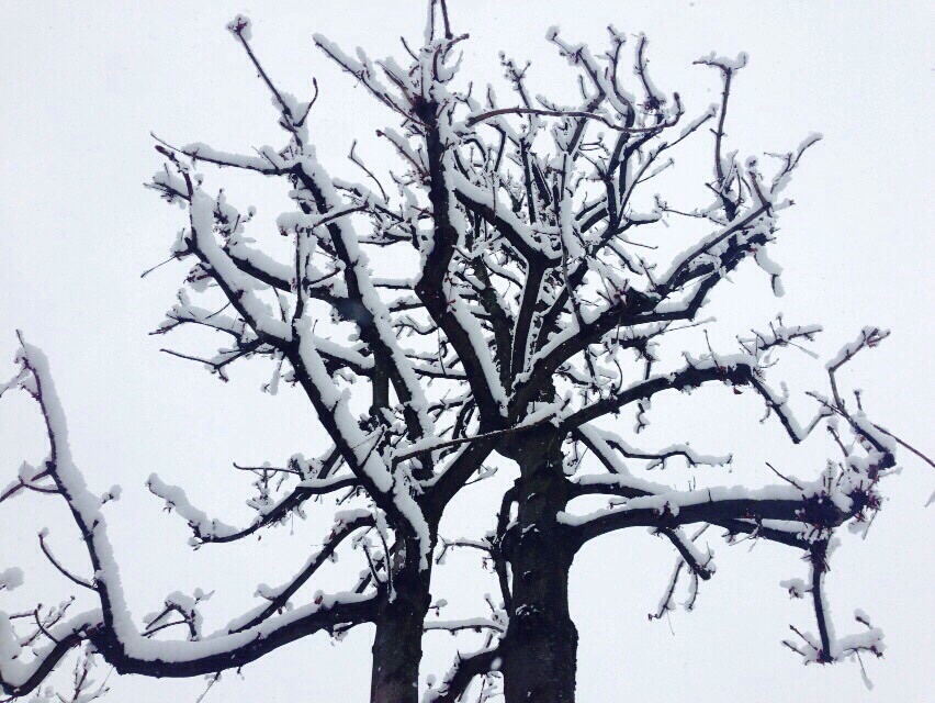 Bergamo-e-la-neve-fotografia-Maurizio-Romano