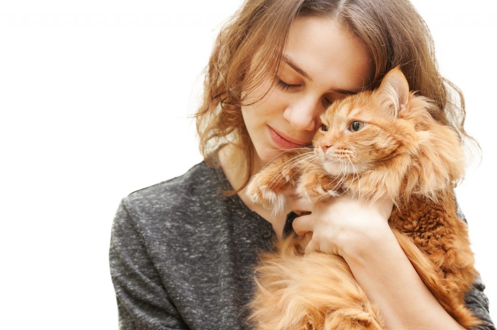 Beautiful Young Woman 20 Years With A Fluffy Red Cat Isolated