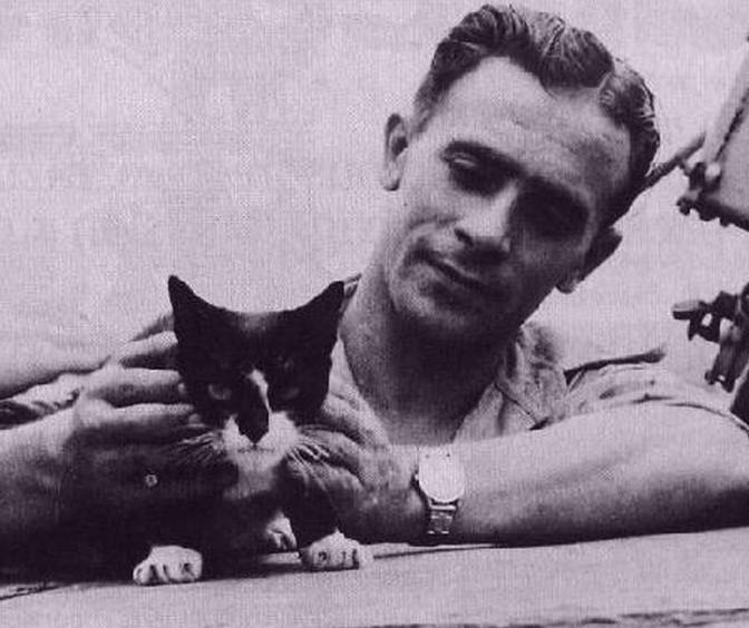 Il gatto più valoroso d’Inghilterra