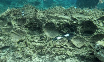 Una piccola Pompei sottomarina nelle acque della mitica Delo