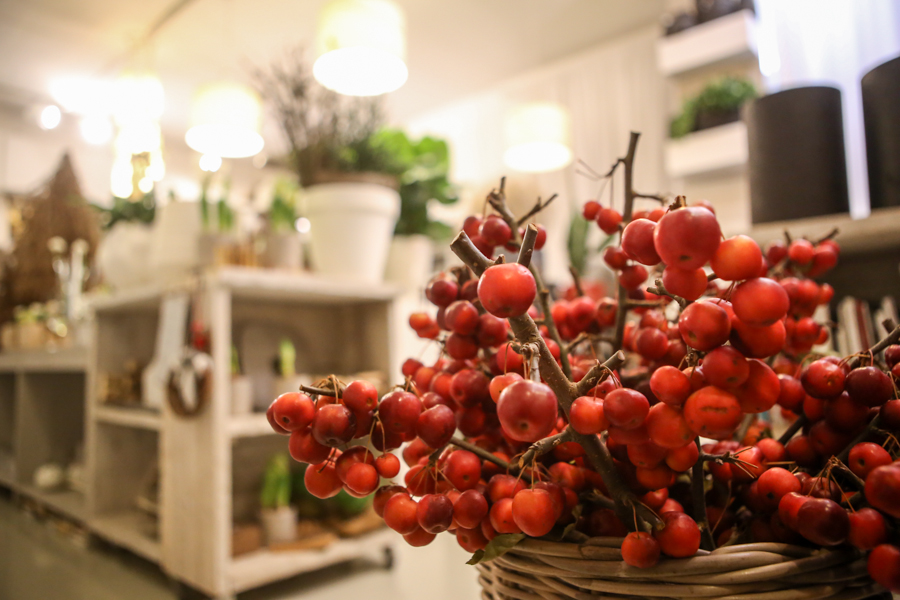 Hanami in via Martiri di Cefalonia Dove si incontrano fiori e design