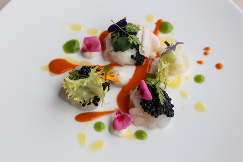 Quasi arte (LoRo) – Devid Rotasperti