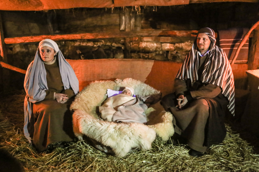 Presepe -Villongo-Foto-Devid-Rotasperti (86)