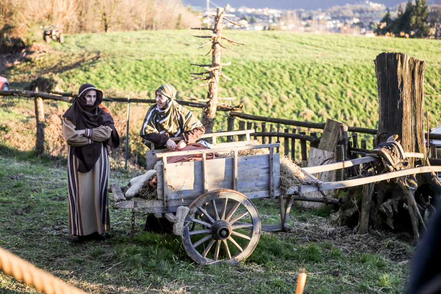 Presepe -Villongo-Foto-Devid-Rotasperti (9)