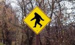 Una startup da 3 milioni di dollari per mettere le mani su...Bigfoot