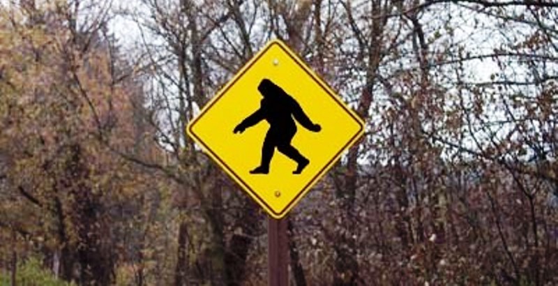 Una startup da 3 milioni di dollari per mettere le mani su…Bigfoot