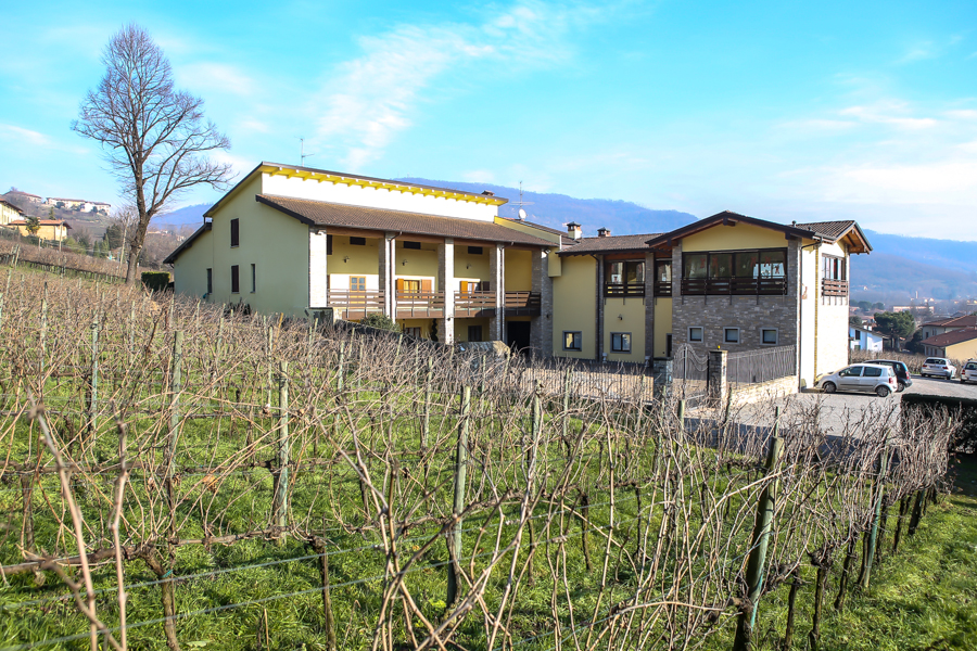 ristorante al vigneto fotografo devid rotasperti (13)