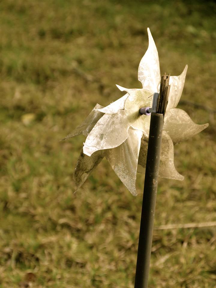 Via San Bernardino – Linda Klobas