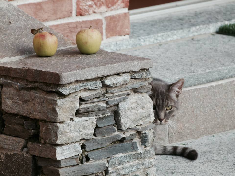 Scanzorosciate – Linda Klobas