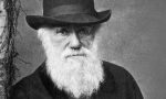 Oggi è il Darwin Day. Cioè?