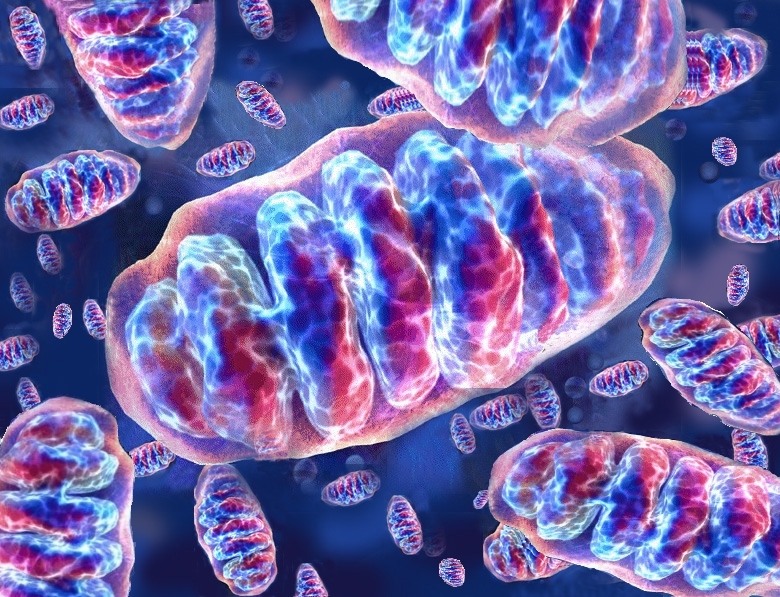 Bambini con il Dna di tre persone