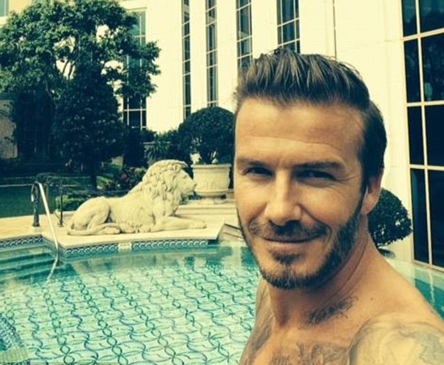 Gli welfie, i selfie dei vip