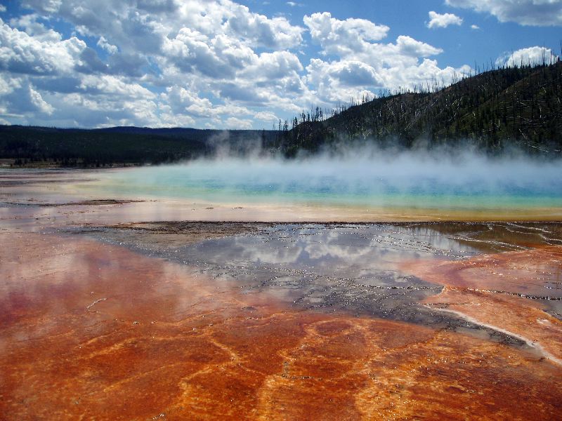 thermal pools in Yellowstone National Park