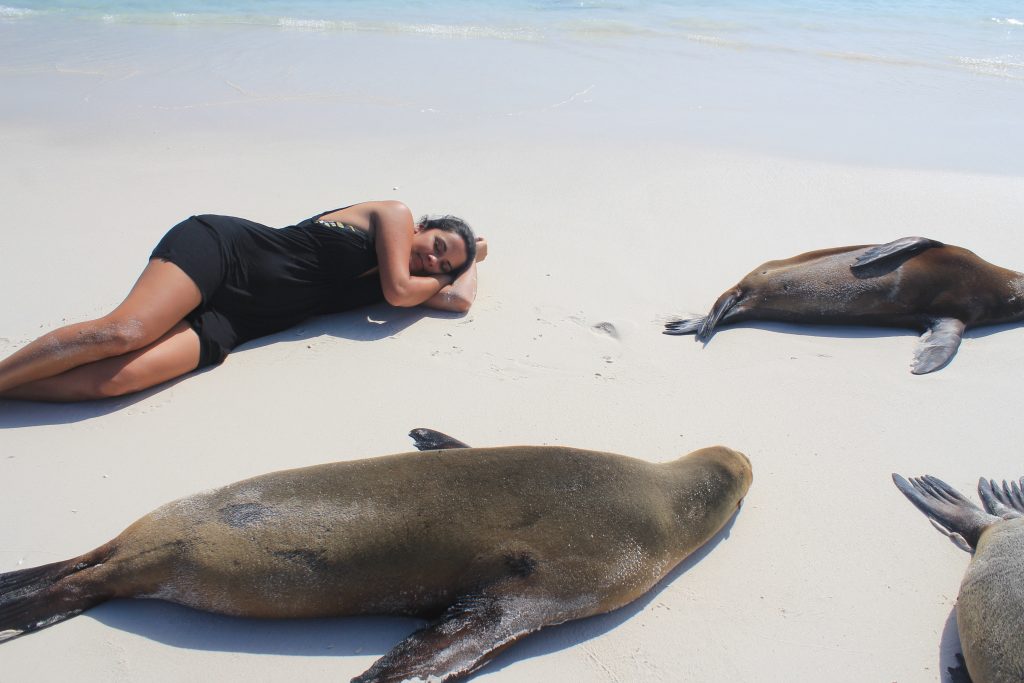 tortoises and sea lions in the Galapagos Islands