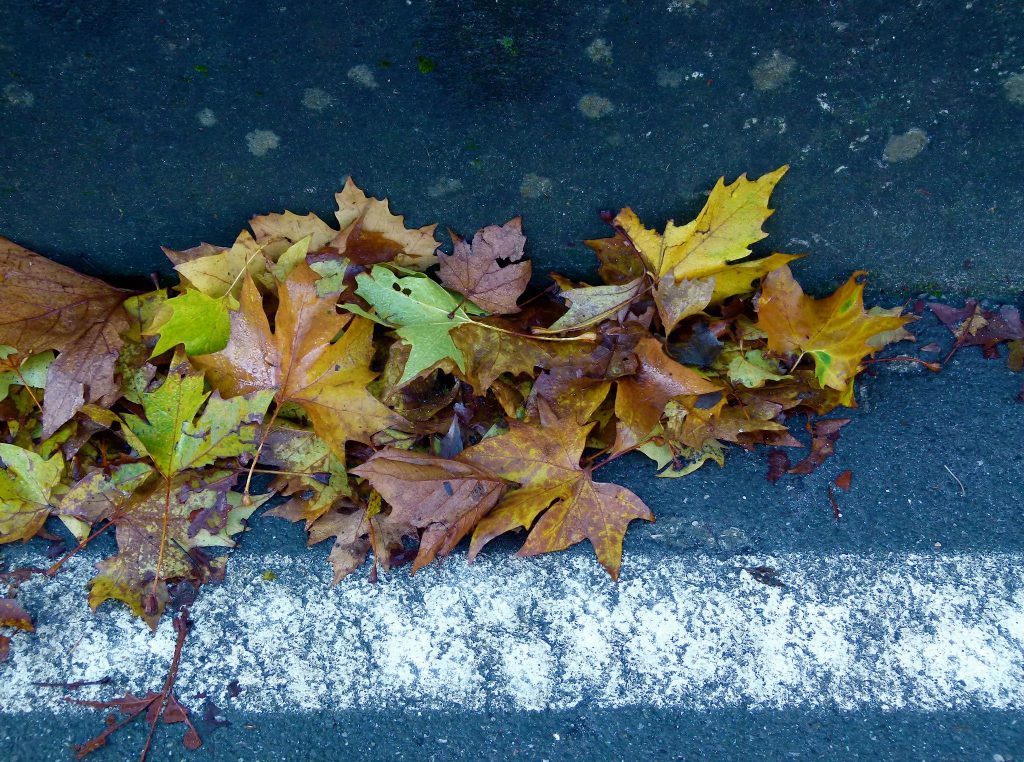 Alzano Lombardo – Linda Klobas
