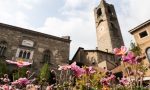 Città Alta su TripAdvisor: che magia