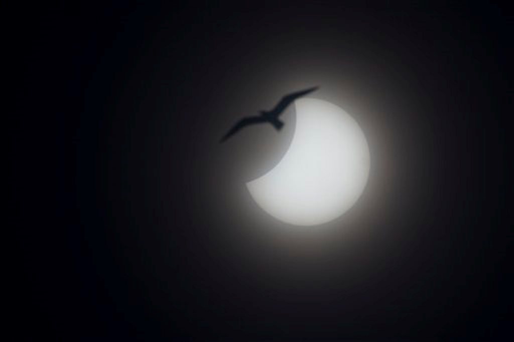 L’eclissi nel cielo di Bergamo