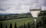 Il Prosecco batte lo Champagne L'Italia brinda con le bollicine