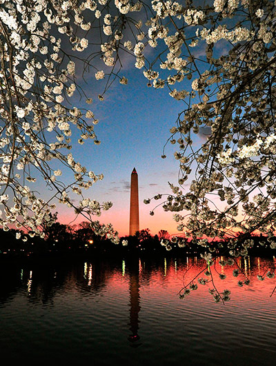 Washington DC, The Jefferson Memorial
