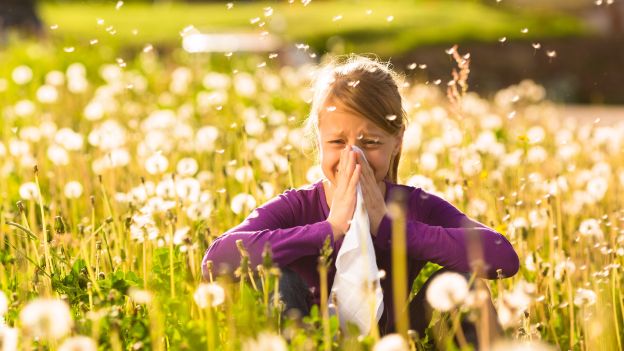 Inquinamento e clima ballerino sono un disastro per gli allergici