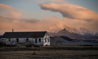 Un nido di libri tra le montagne Un sogno (realtà) in Colorado